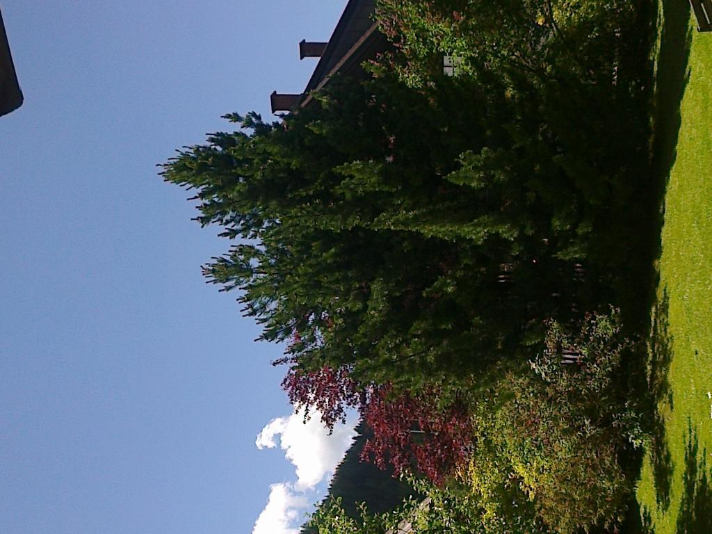 Ferienhaus Zipfmatl Keusche Bad Kleinkirchheim Exterior foto